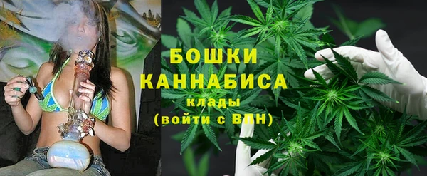 первитин Горнозаводск