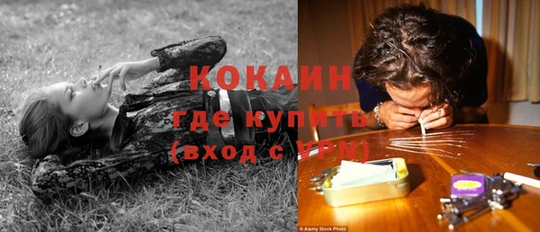 меф Горняк